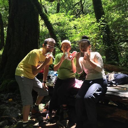 Yakushima Youth Hostel Dış mekan fotoğraf
